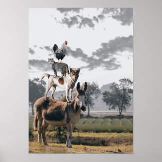 Poster d'animaux stupides