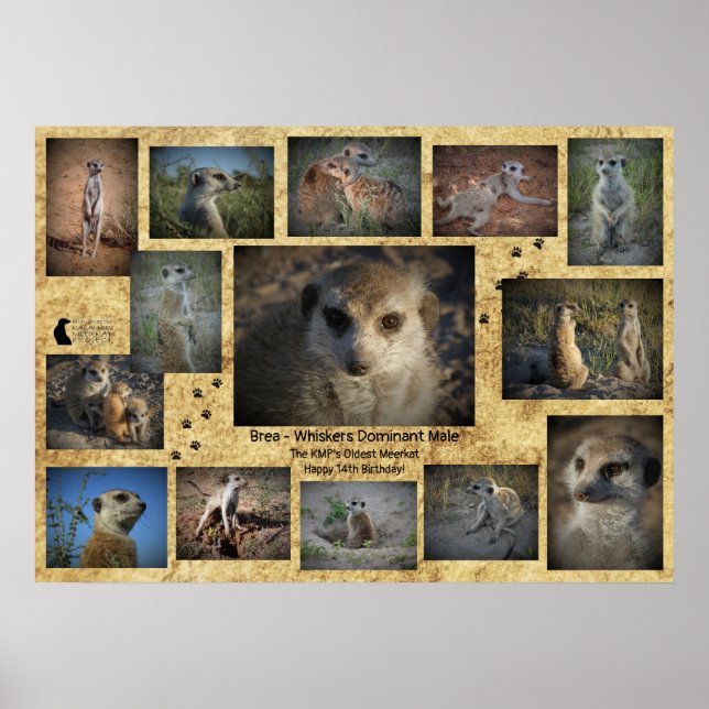 Poster d'anniversaire heureux (Devant)