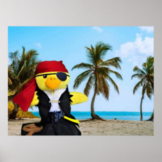 Poster Danny Duck le Pirate.