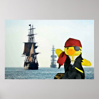 Poster Danny Duck le Pirate.
