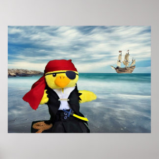 Poster Danny Duck le Pirate.
