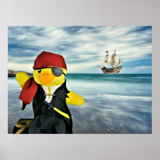 Poster Danny Duck le Pirate.