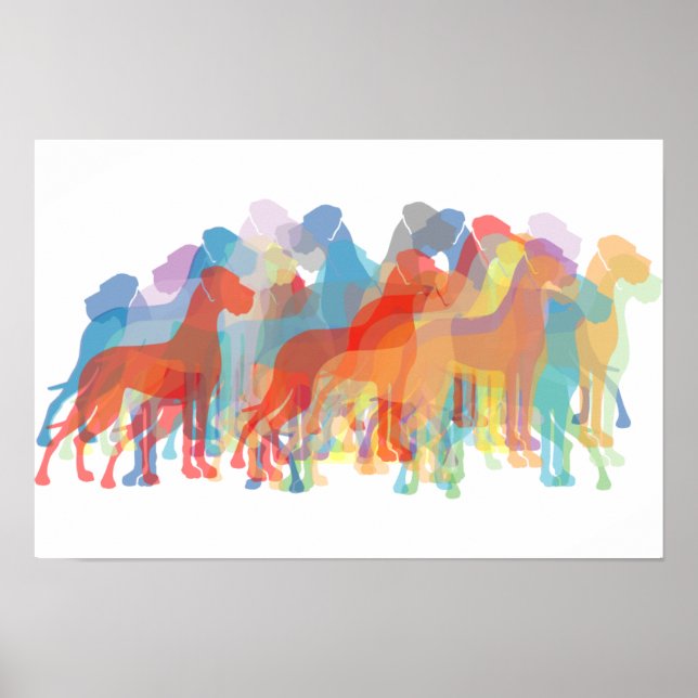 Poster Danois coloré (Devant)