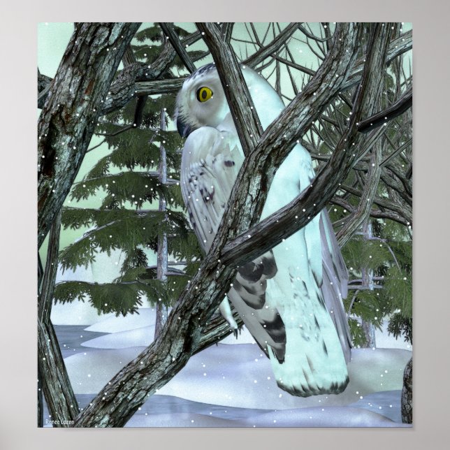 Poster Dans La Chouette Sauvage (Devant)