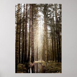POSTER DANS LA FORÊT