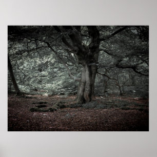 Poster Dans la forêt de conte de fées 