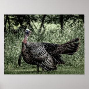 Poster Dans la forêt - Sage Green B&W