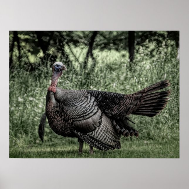 Poster Dans la forêt - Sage Green B&W (Devant)