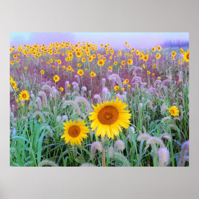 Poster Dans la matinée, imprimer (Devant)