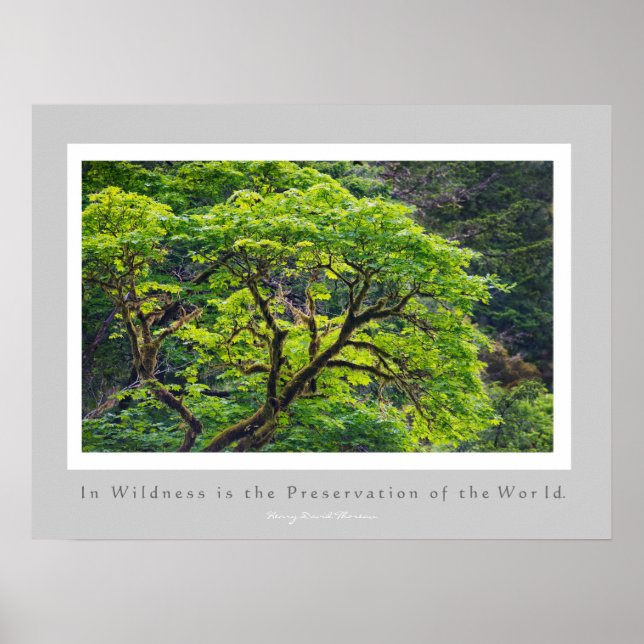 Poster Dans la nature est la préservation du monde (Devant)