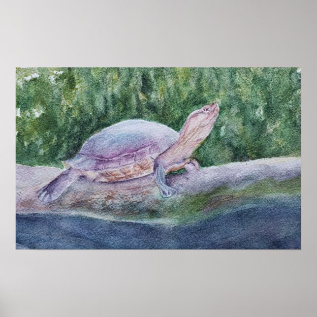 Poster Dans la tortue plomb (Devant)