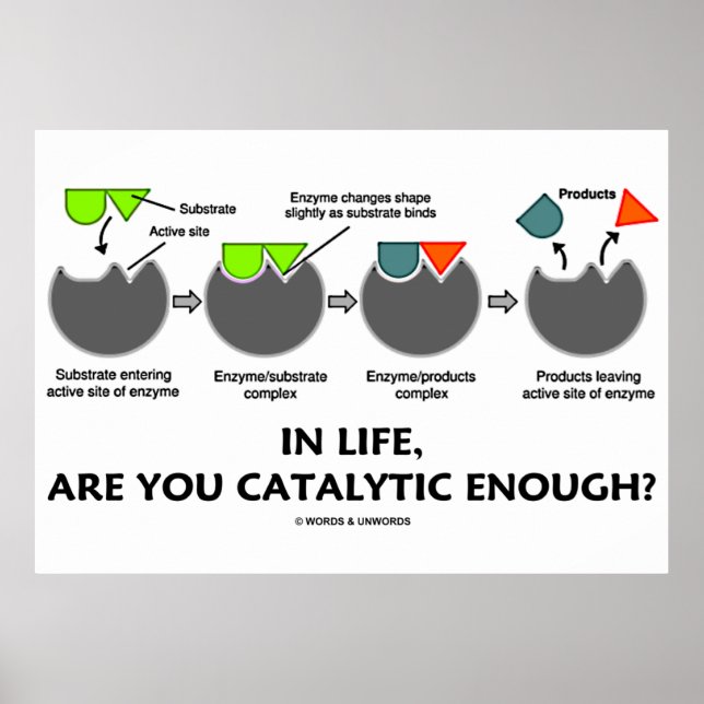 Poster Dans La Vie, Êtes-Vous Assez Catalytique ? Humour  (Devant)