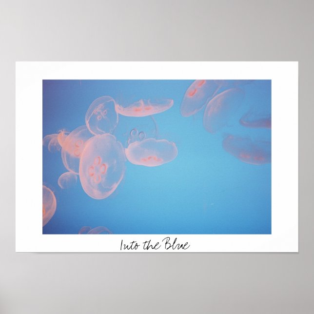 Poster Dans le bleu (Devant)