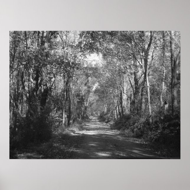 Poster "Dans les bois" (Devant)