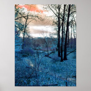 Poster Dans les bois