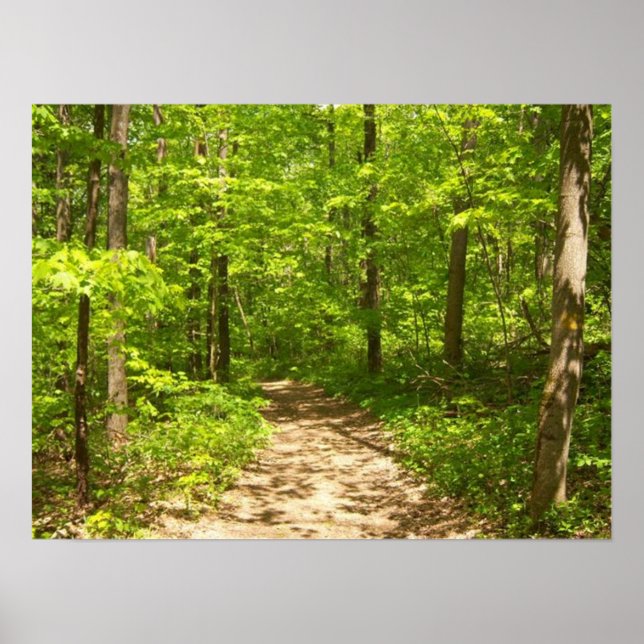 Poster Dans les bois (Devant)