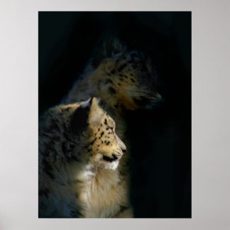 Poster Dans les ombres