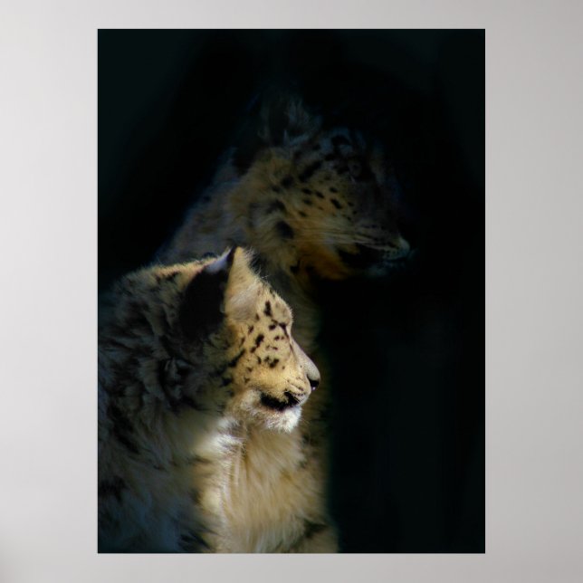 Poster Dans les ombres (Devant)