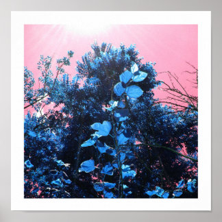 Poster Dans mon blues