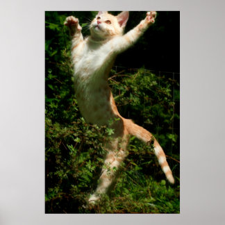 Poster Danse