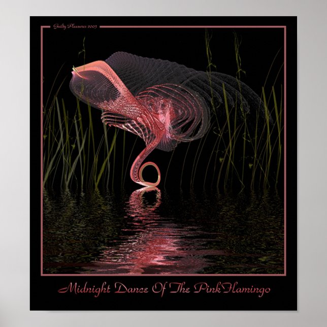 Poster Danse De Minuit Du Flamant rose Rose (Devant)