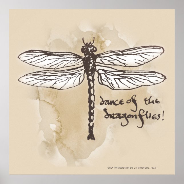 Poster Danse des dragons (Devant)