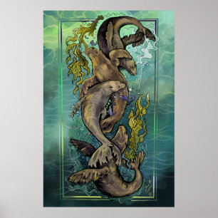 Poster Danse des Selkies