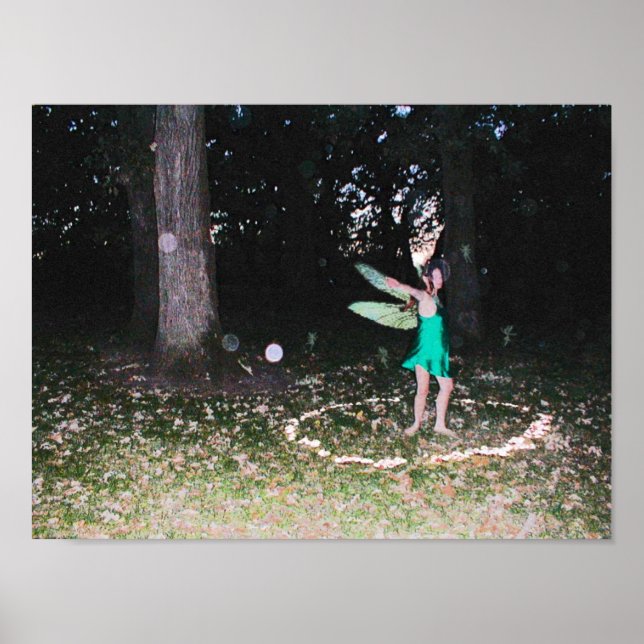 Poster Danse féerie (Devant)