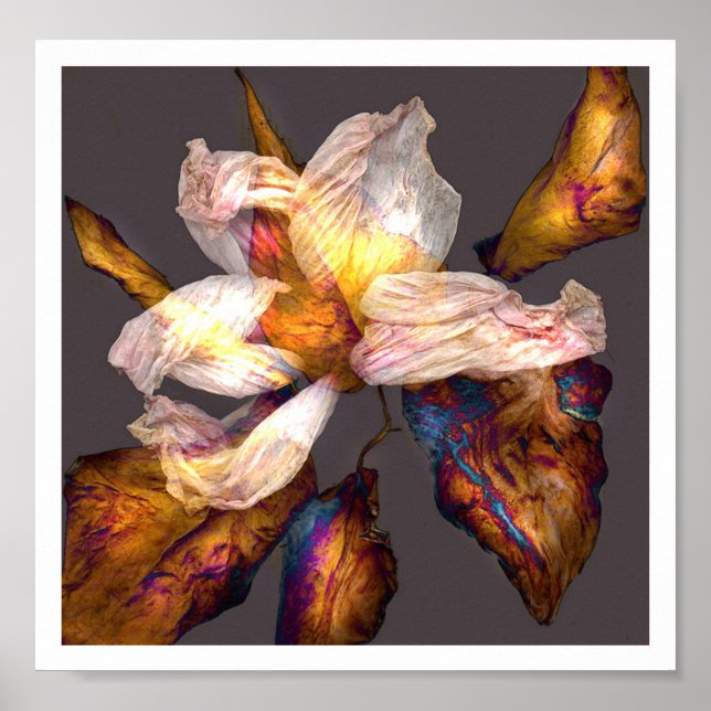 Poster Danse Fleur (Devant)