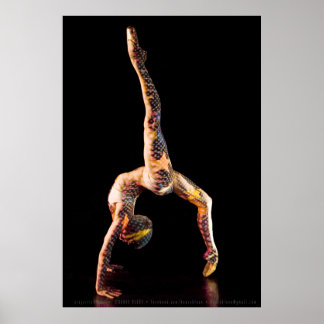 Poster Danseur de ballet-4567XLG