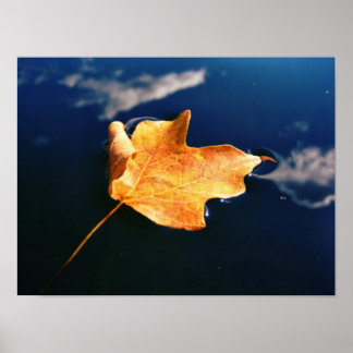 Poster danseuse cloud (taille automatique)