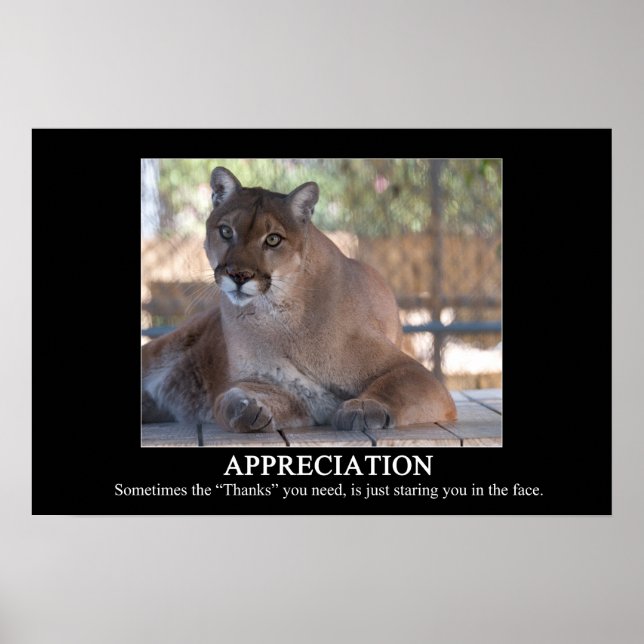 Poster d'appréciation (Devant)