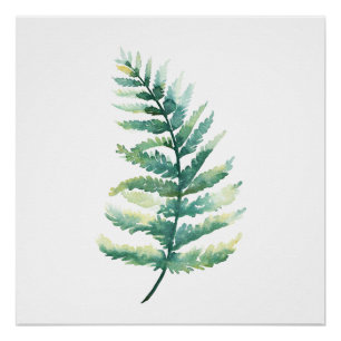 Poster d'aquarelle de Fern Frond Botanical Imprime