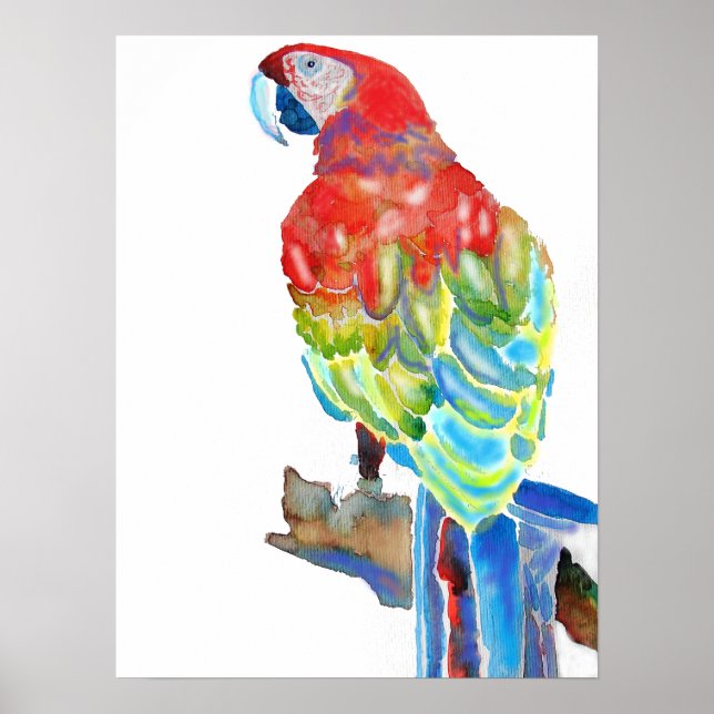 Poster d'aquarelle de perroquet bleu rouge (Devant)