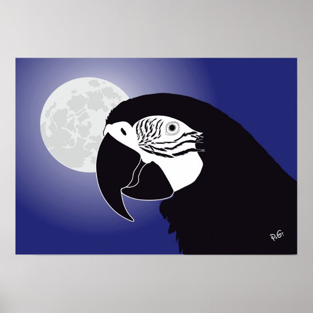 Poster d'Ara (Devant)