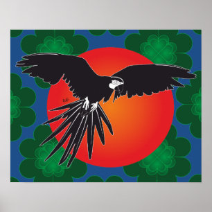 Poster d'Ara