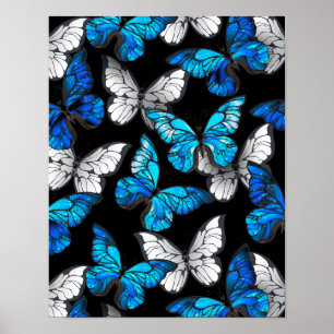 Poster Dark Seamless Pattern with Blue Butterflies Morpho