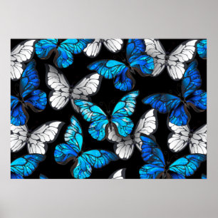 Poster Dark Seamless Pattern with Blue Butterflies Morpho