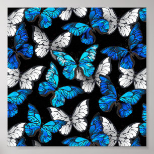 Poster Dark Seamless Pattern with Blue Butterflies Morpho