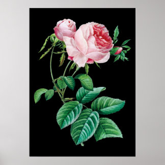 Poster d'arrière - plan noir rose rose anglais