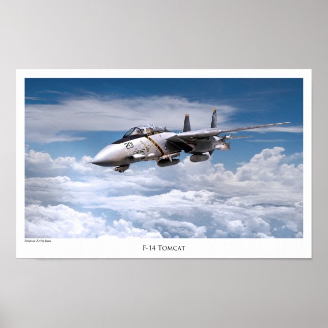 Poster d'art aéronautique "F-14 Tomcat" (Devant)
