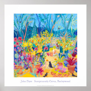 Poster d'art : Alan Titchmarsh Barleywood Garden.