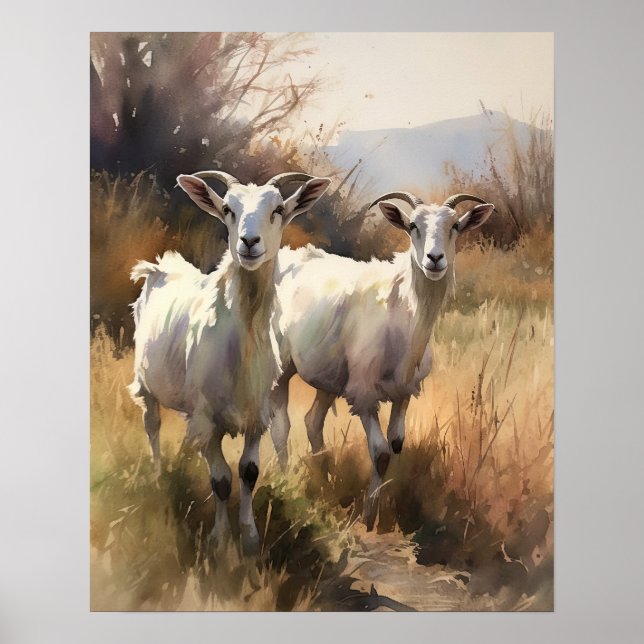 Poster d'art animal de la ferme de chèvre (Devant)
