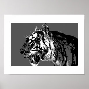 Poster d'art B&W Sibérien Tiger Pop Imprimer