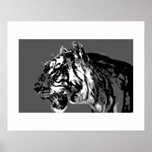 Poster d'art B&W Sibérien Tiger Pop Imprimer