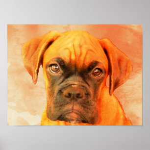 Poster d'art Boxer Dog