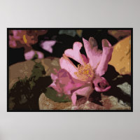 Poster d'art Camellia -60x40 -autres tailles dispo