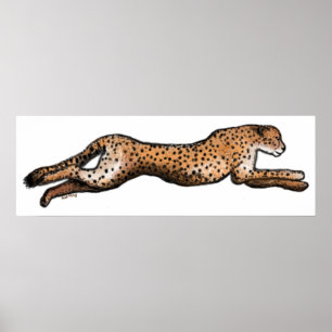 Poster d'art Cheetah