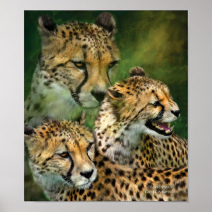 Poster d'art Cheetah Moods/Imprimer