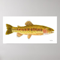 Poster d'art de la truite arc-en-ciel de Kern Rive